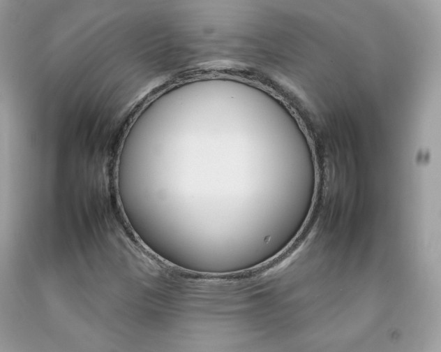X0000092261305200709141018