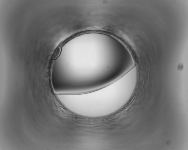X0000092261308200709141018
