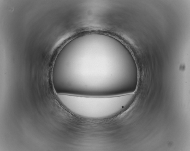 X0000092261309200709141018