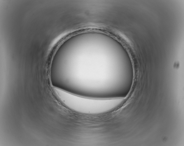 X0000092261310200709141018