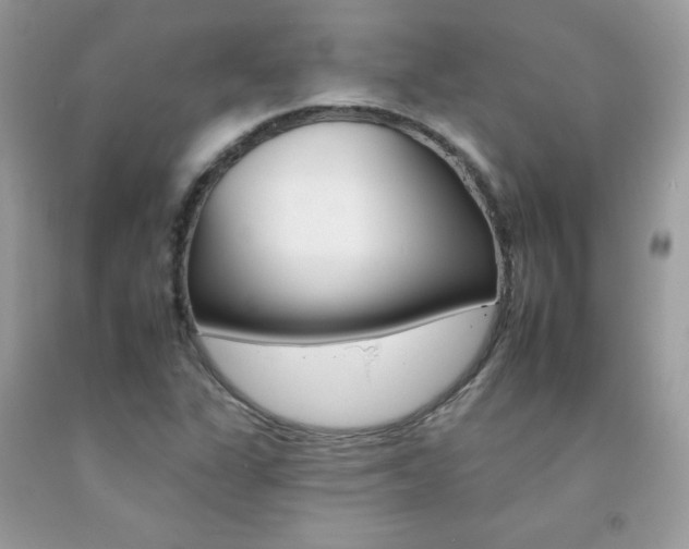 X0000092261311200709141018