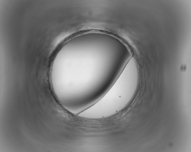 X0000092261312200709141018