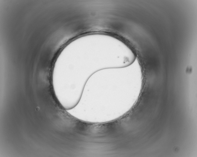 X0000092261314200709141018