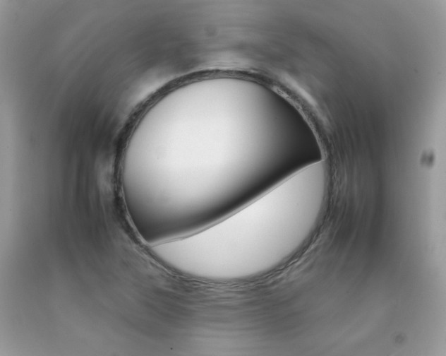 X0000092261315200709141018