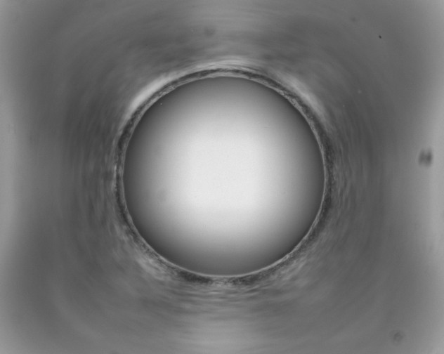 X0000092261316200709141018