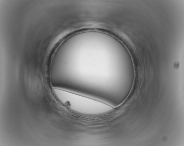 X0000092261318200709141018