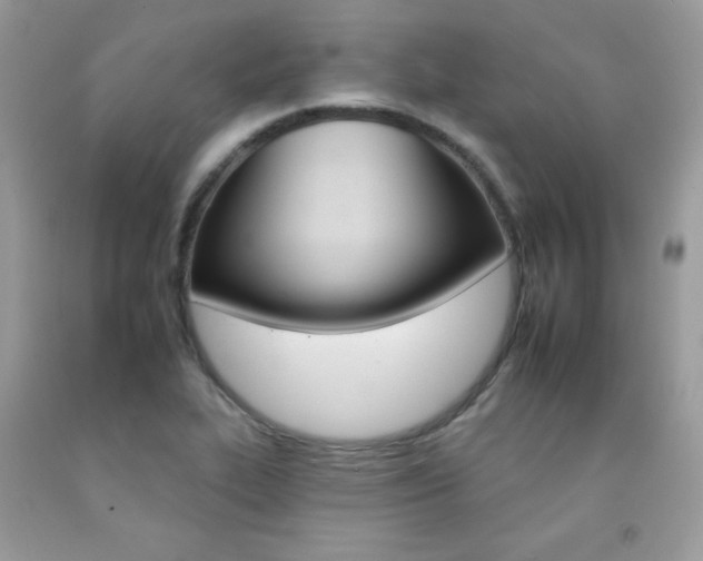 X0000092261319200709141018
