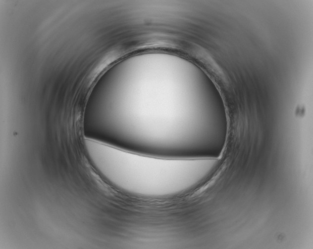 X0000092261321200709141018