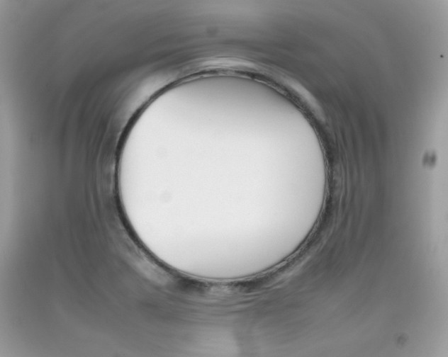 X0000092261322200709141018