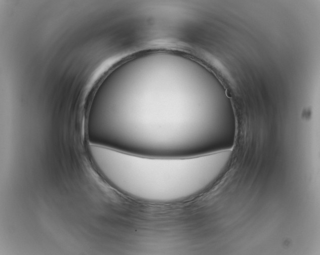 X0000092261323200709141018