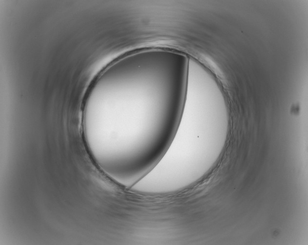 X0000092261324200709141018