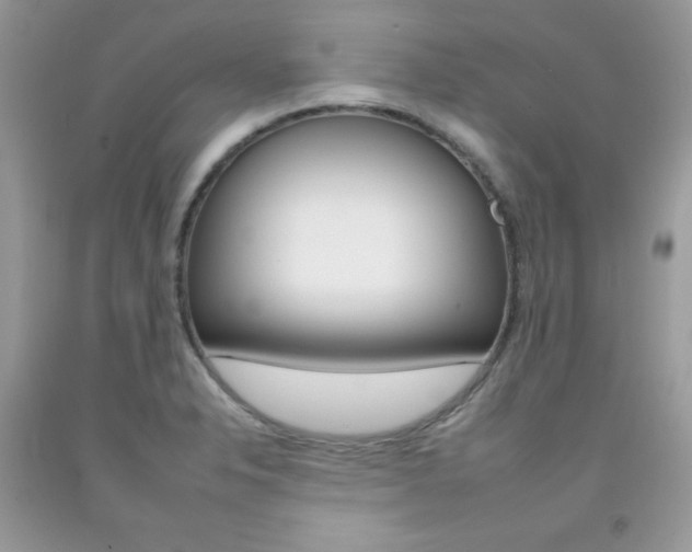 X0000092261326200709141018