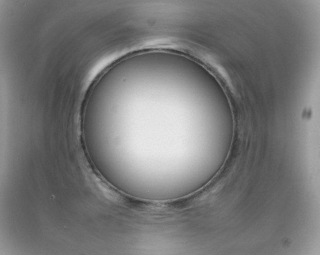 X0000092261328200709141018