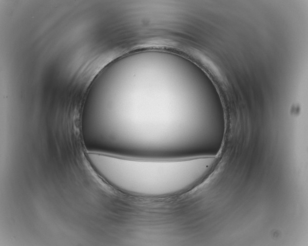 X0000092261329200709141018