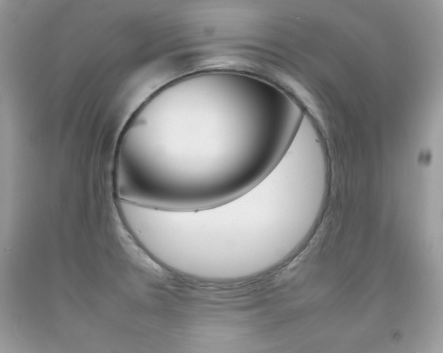 X0000092261330200709141018