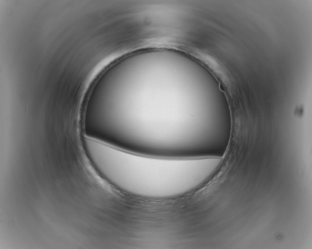 X0000092261331200709141018