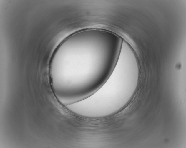 X0000092261332200709141018