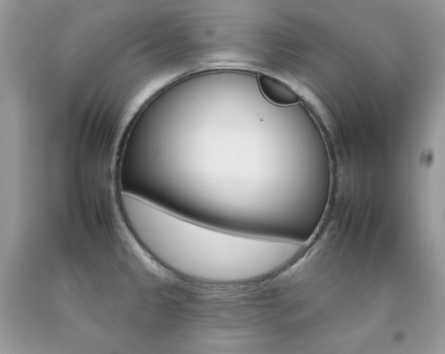 X0000092261333200709141018