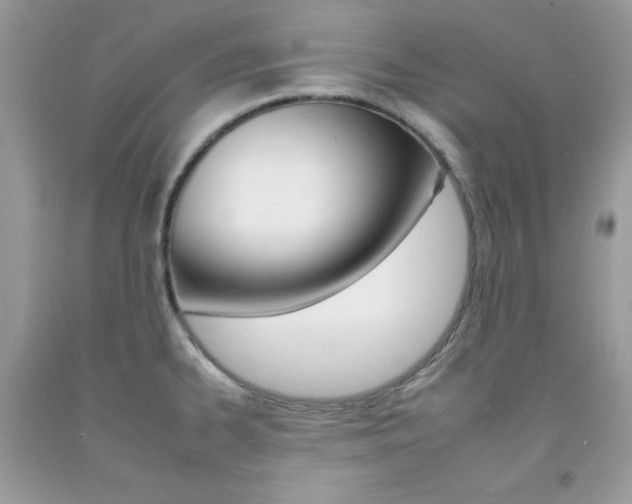 X0000092261334200709141018