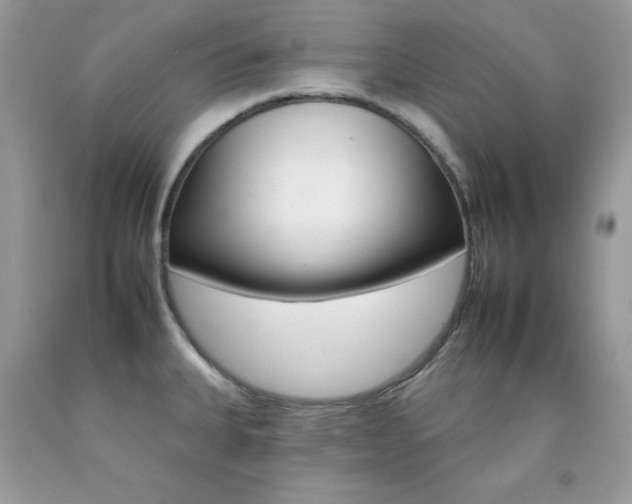 X0000092261335200709141018
