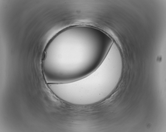 X0000092261336200709141018