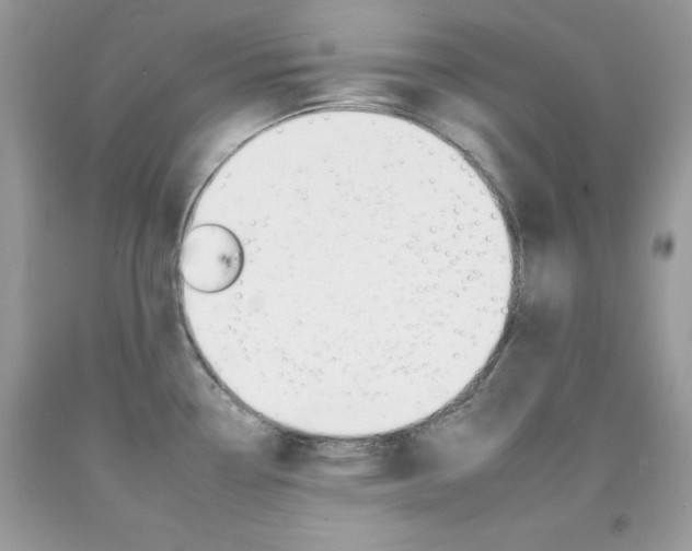 X0000092261338200709141018