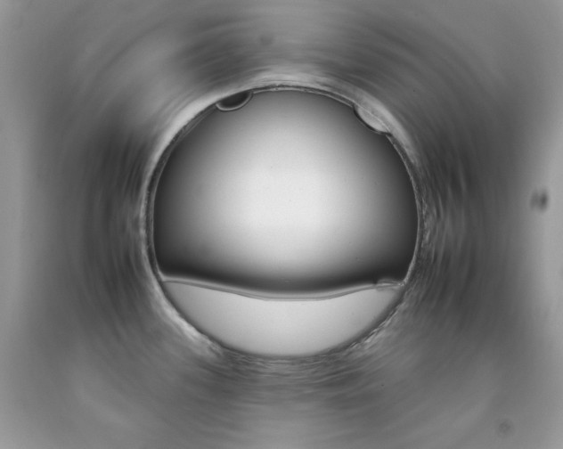 X0000092261339200709141018