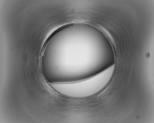 X0000092261340200709141018