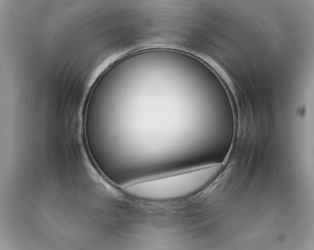 X0000092261341200709141018