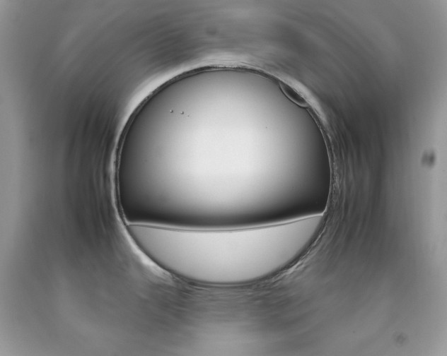 X0000092261343200709141018