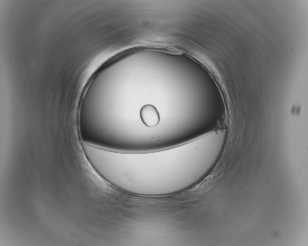 X0000092261344200709141018