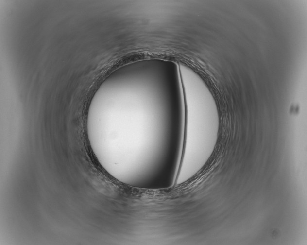 X0000092261345200709141018