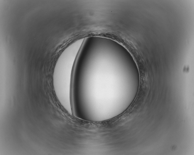 X0000092261349200709141018