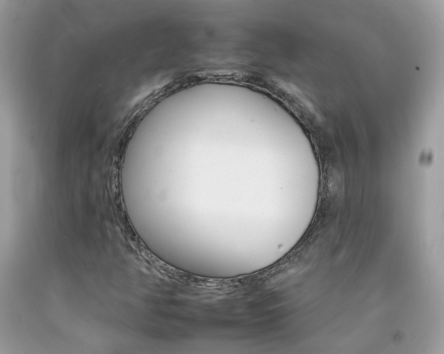 X0000092261350200709141018