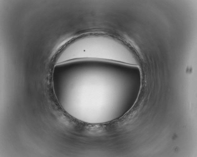 X0000092261352200709141017