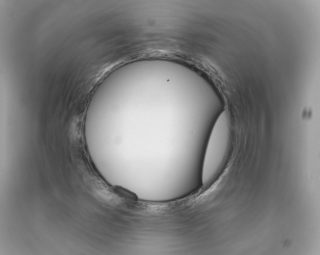 X0000092261353200709141017