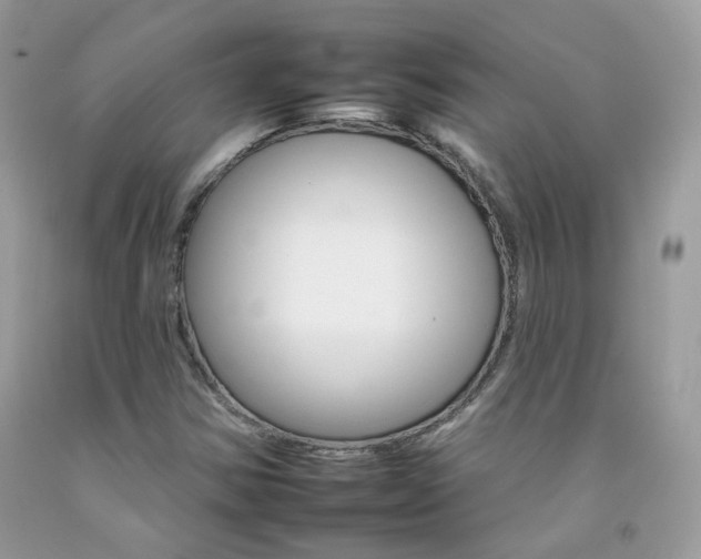 X0000092261354200709141017