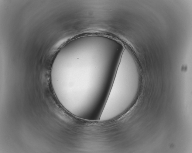 X0000092261355200709141017