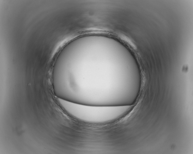 X0000092261357200709141017