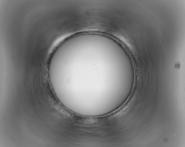 X0000092261358200709141017