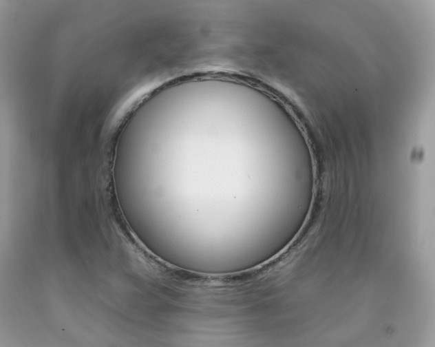 X0000092261359200709141017