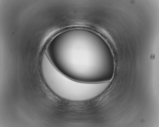 X0000092261360200709141017