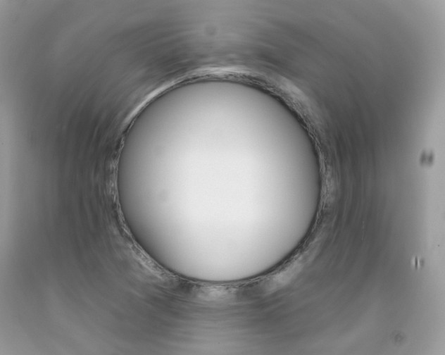 X0000092261361200709141017