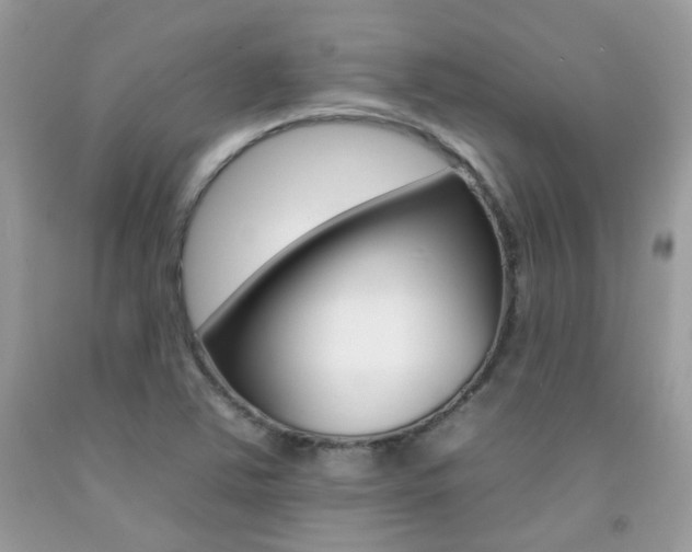 X0000092261363200709141017