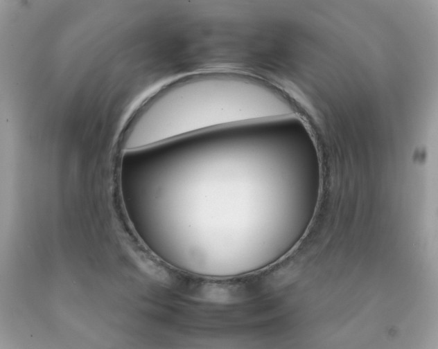 X0000092261364200709141017