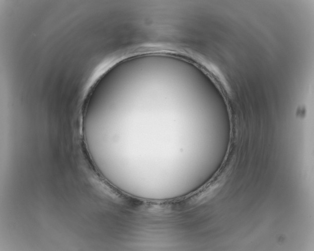 X0000092261365200709141017