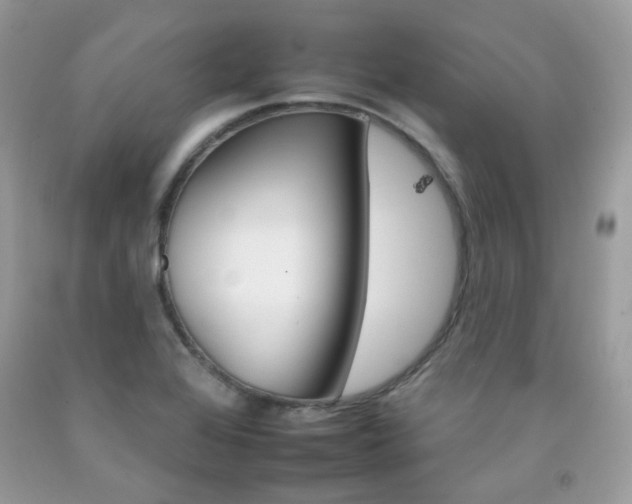 X0000092261368200709141017