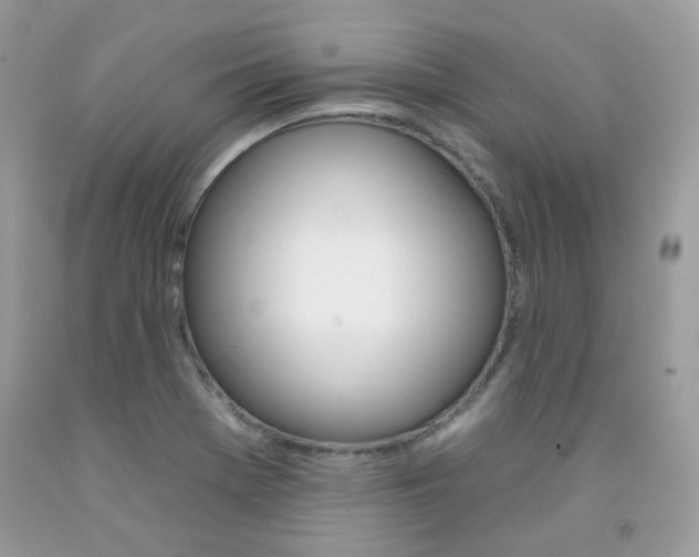 X0000092261369200709141017