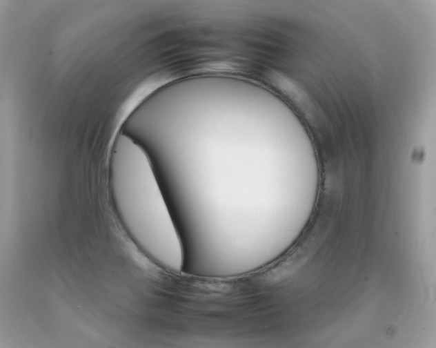 X0000092261370200709141017
