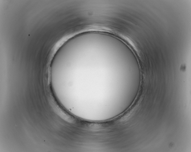 X0000092261371200709141017